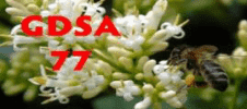 Logo GDSA77